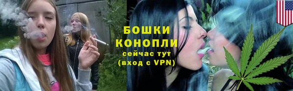 сатива Белокуриха