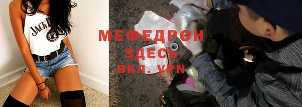 сатива Белокуриха