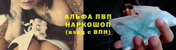 сатива Белокуриха