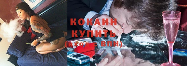 сатива Белокуриха