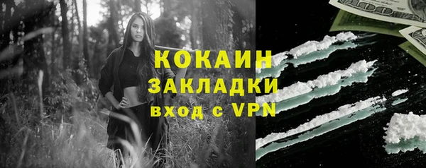 сатива Белокуриха