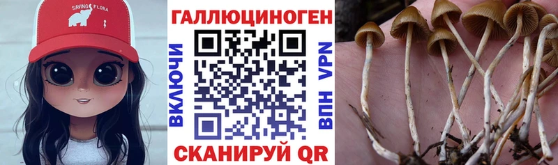 купить закладку  Курильск  Псилоцибиновые грибы прущие грибы 